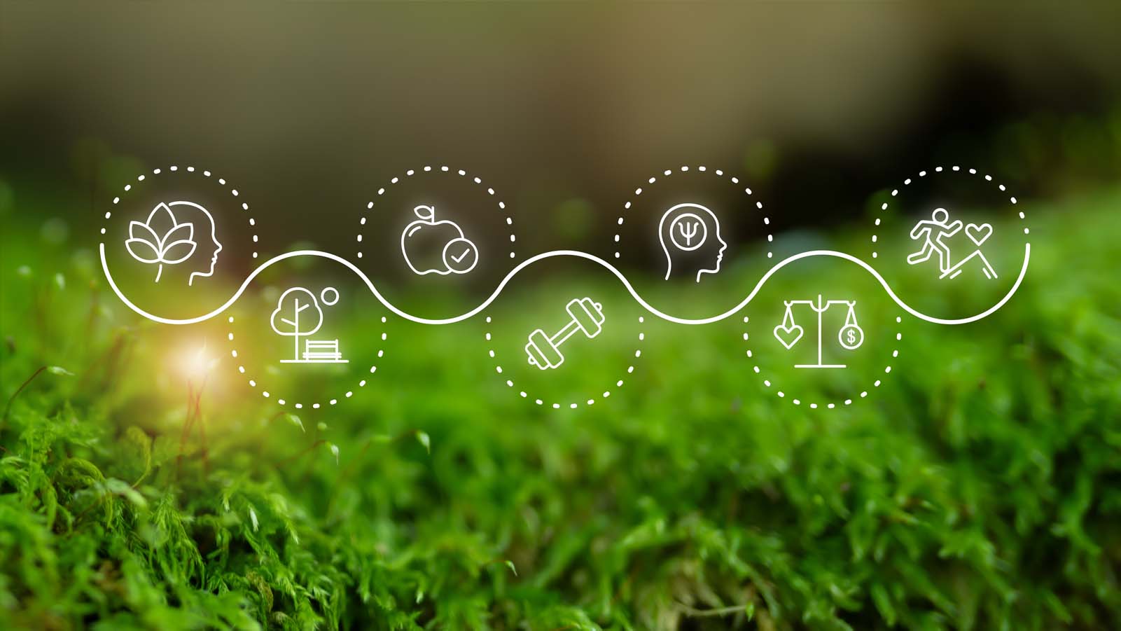 Health and wellness programs